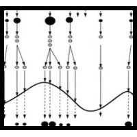 Elicitable Data Science Logo