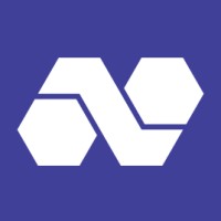 Netis, Blockchain Consulting & Development Logo