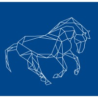 Bocconi Students Strategy Club Logo