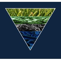 Anaero Technology Logo
