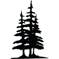 Sandy Pine Logo