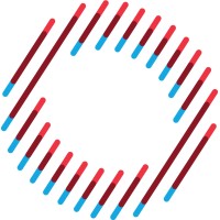 Polsky Center I-Corps Program Logo