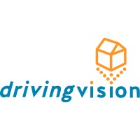 Driving Vision Logo