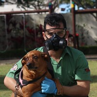 Fumigadora Trumix Logo