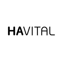 Havital HK Holdings Limited Logo