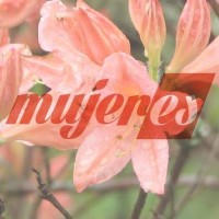 Mujeres Logo