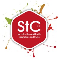 STC International B.V. Logo