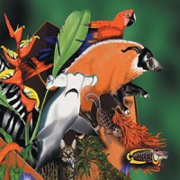 Center for Macroecology, Evolution and Climate (CMEC) Logo