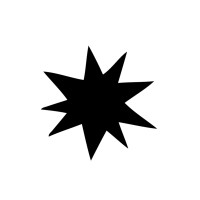 Spark and Burn Studio Logo