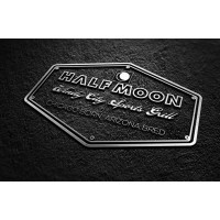 Half Moon Windy City Sports Grill Logo