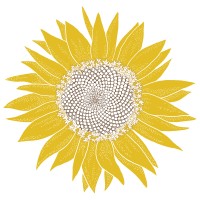 the meraki method Logo
