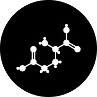 Centrum voor Neuropsychologie Logo