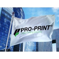 Pro-Print Digital Printing Solutions Logo
