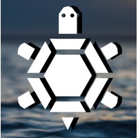 Flying Tortuga Logo