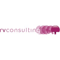 RVConsulting.nl Logo