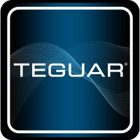 Teguar Corporation Logo