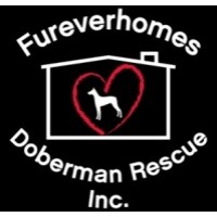 Fureverhomes Doberman Rescue, Inc. Logo