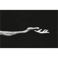 CABINET OSTEOPATHIE / PSYCHO et SEXO-THERAPIE / COACHING - EFMO FRANTZ Selarl Logo