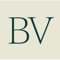 BoyeroVisualizers Logo