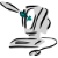 Ronney Braunsteins photo restoration & retouching Logo