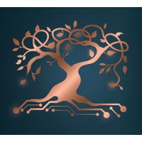 Limeburners Bay International AG Logo