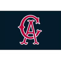 The Cambridge Academy Logo