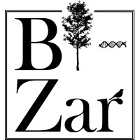 Bi-Zar Logo