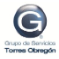 Grupo de Servicios Torres Obregon Logo