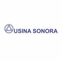 Usina Sonora S/A Logo