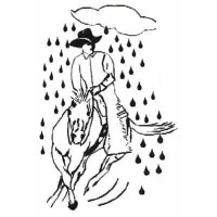 RainDancer Video Logo