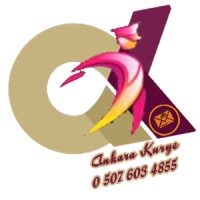 Ankara Kurye Logo