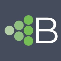 Brightmerge Logo