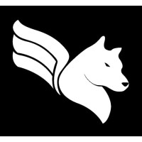 SkyWolfJones Consulting Logo