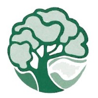 Community Settlement Group, LLC Logo