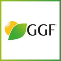 GGF em Campo Logo