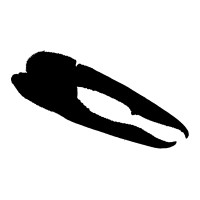 Tender Claws Logo