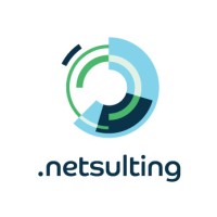 WSI Netsulting Logo