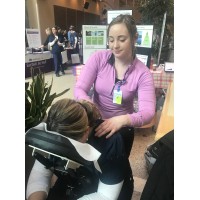 Professional Integrative Bodywork, LLC Logo