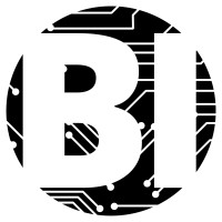 Boston IT Solutions India Logo
