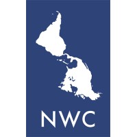 New World Consulting Logo