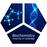 Department of Biochemistry, University of Cambridge Logo