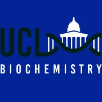 UCL Biochemistry Society Logo