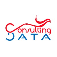 Consulting Data Logo