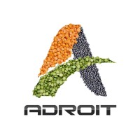 Adroit Overseas Logo