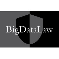 Big Data Law Logo