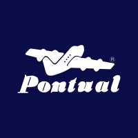 Pontual Cargas e Encomendas Logo