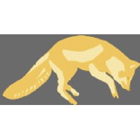Vosoft Logo
