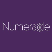 Numeracle Logo
