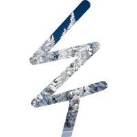 EvergreenTreez Logo