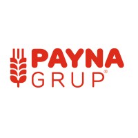 Payna Grup Logo